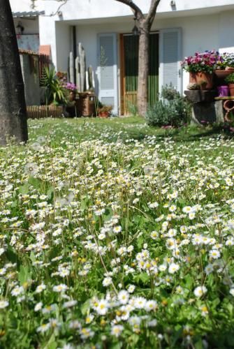 صورة الفندق 13