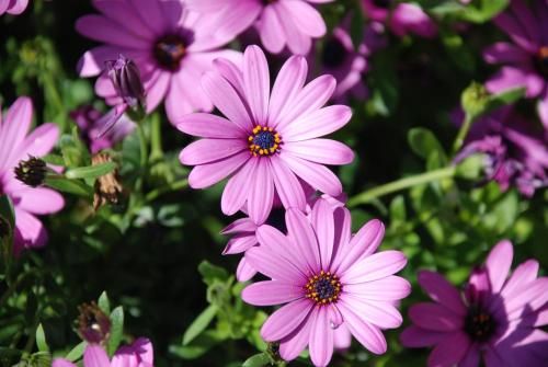 صورة الفندق 19