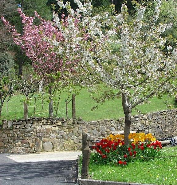 صورة الفندق 22