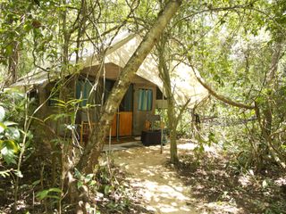 Hotel pic Mahoora Tented Safari Camps – Dambana