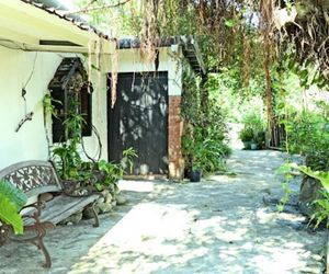 Taipei Jinguashi Treehouse Homestay Chiu-fen Taiwan