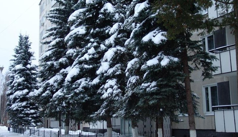 صورة الفندق 24