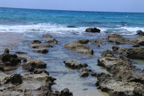 صورة الفندق 13