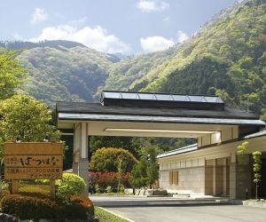 (RYOKAN) Hakone Yumoto Onsen Hotel Hatsuhana Hakone Japan
