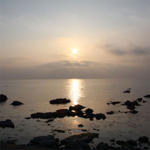 صورة الفندق 1