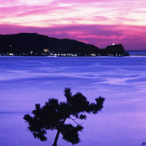صورة الفندق 4