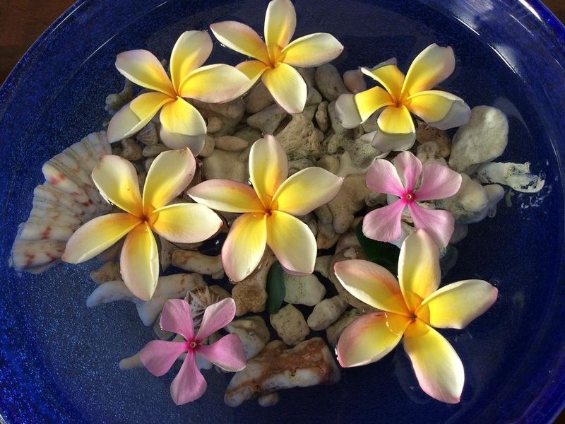 صورة الفندق 15