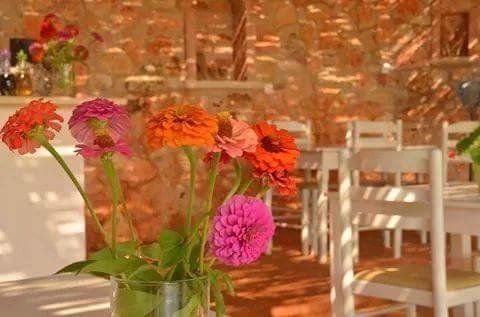 صورة الفندق 19