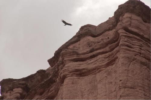 صورة الفندق 23