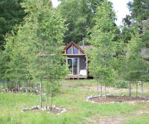 Ecos de Lefun Molco Chile