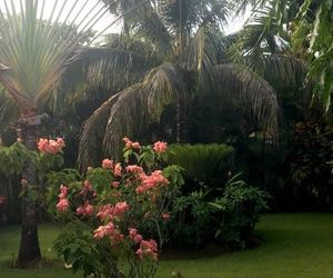 Cozy Garden Villas Cabarete Dominican Republic