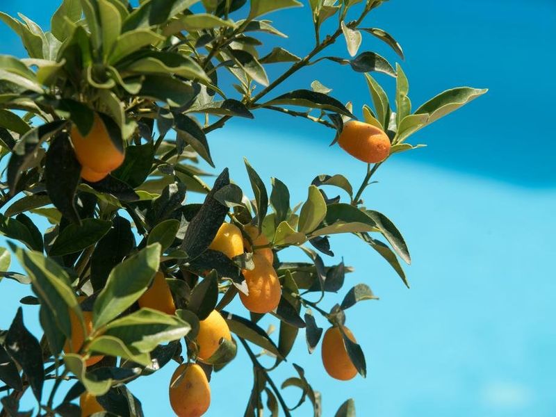 صورة الفندق 22