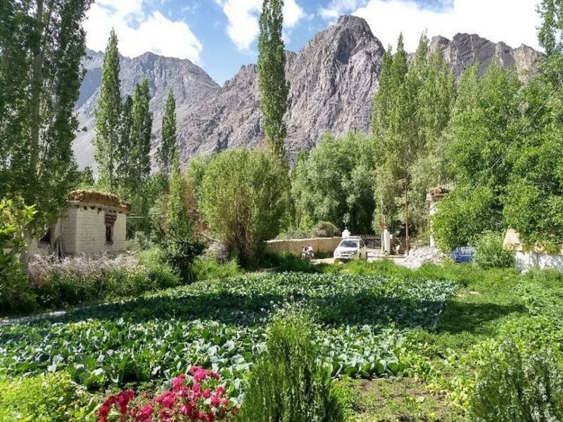 Hotel Photo 10