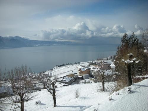 صورة الفندق 20