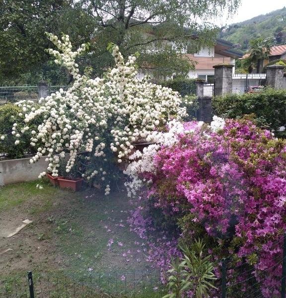 صورة الفندق 7