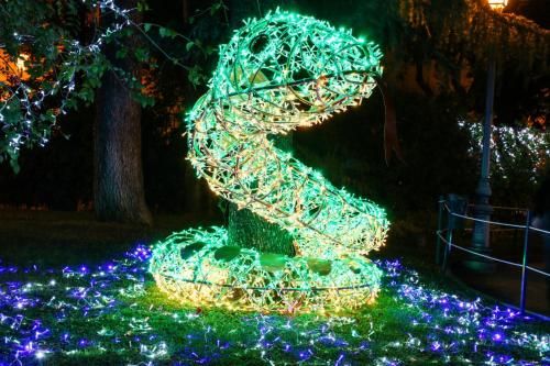 صورة الفندق 16