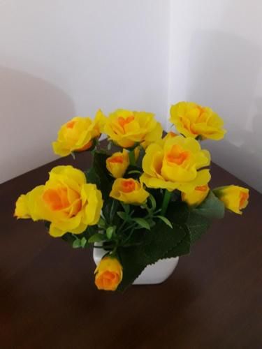 صورة الفندق 16