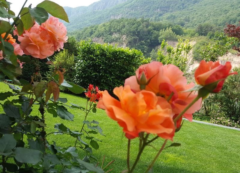 صورة الفندق 17