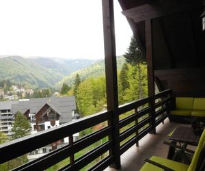 Relaxing Balcony Apartment Sinaia Romania