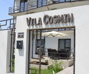 Vila Cosmin Costinesti Romania