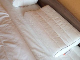 Квартира у исторического сада Бенуа