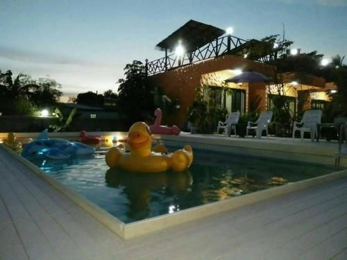 صورة الفندق 21