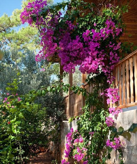 صورة الفندق 5