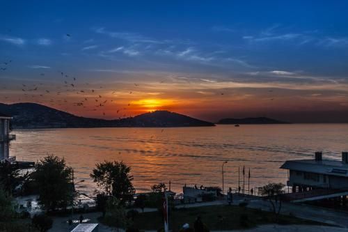 صورة الفندق 23