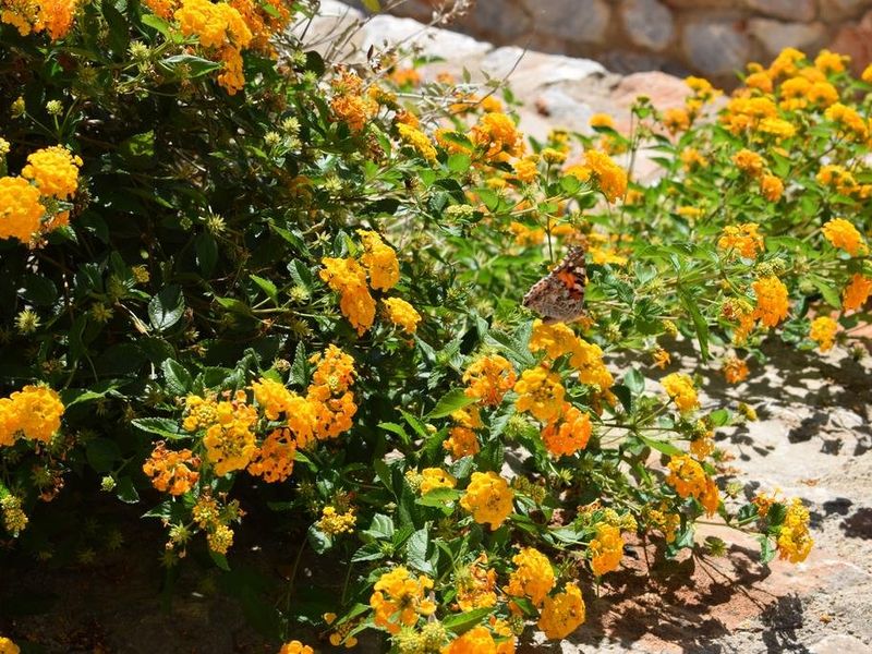 صورة الفندق 18