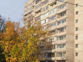 BlackDoors, Shotmana 11 Шотмана 11