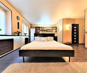 Megapolis Apartment on Arsenalnaya 4A Voronezh Russia
