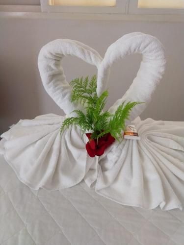 صورة الفندق 14