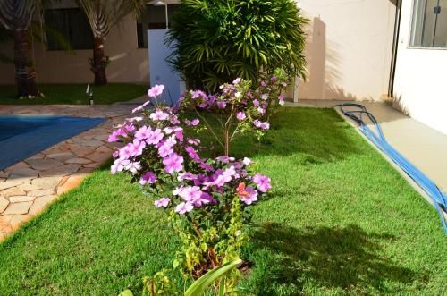 صورة الفندق 21