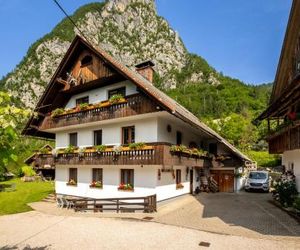 Turistična kmetija Pri Andreju Bohinjsko Jezero Slovenia