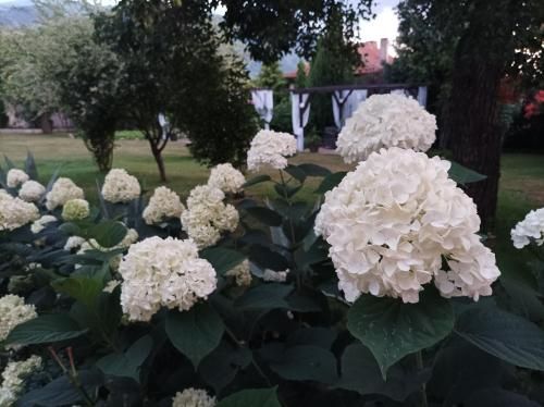 صورة الفندق 16