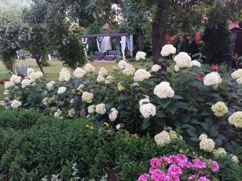 صورة الفندق 17