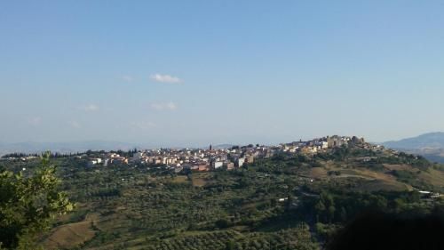 صورة الفندق 5