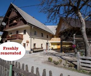 Farmhouse pri Miklavu Bohinjsko Jezero Slovenia