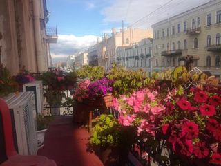 Комната у Мариинского театра