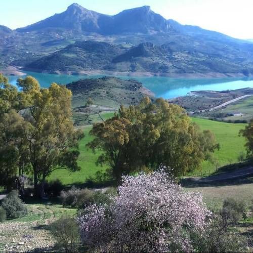 صورة الفندق 20