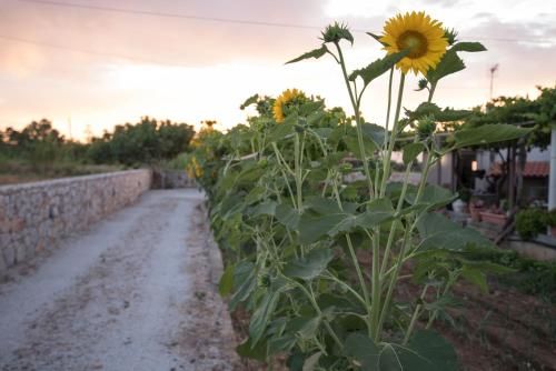 صورة الفندق 12
