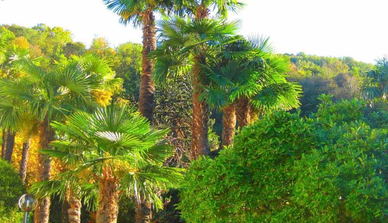 صورة الفندق 21