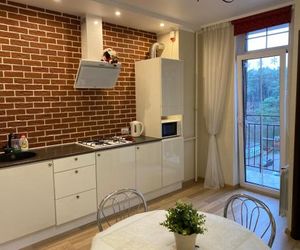 Аpartments in the center of Svetlogorsk-2 Svetlogorsk Russia