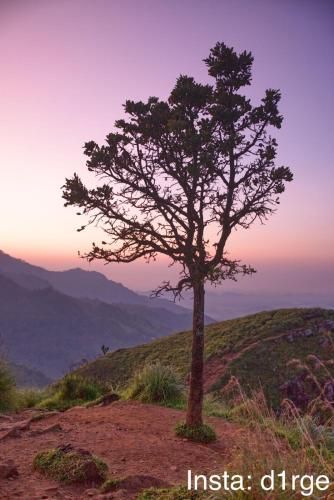 صورة الفندق 3