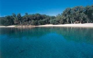 صورة الفندق 8
