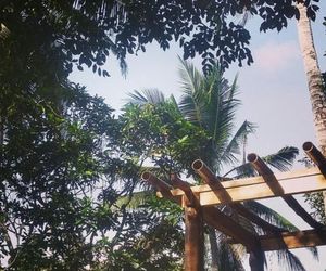 Kuta Lemon Tree Kuta Indonesia