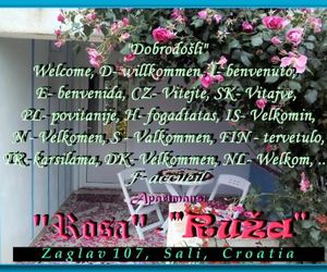 Apartment Ruza Sali Croatia