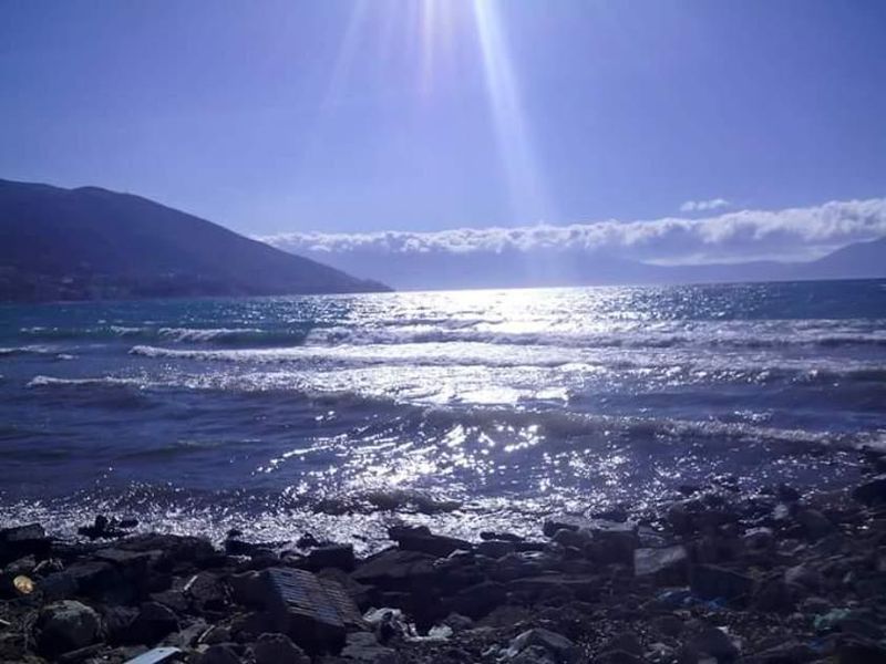 صورة الفندق 20