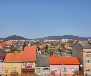 Best Apartment in the Center Mukacheve Ukraine