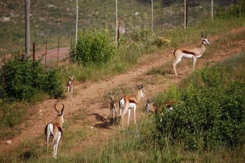 صورة الفندق 6
